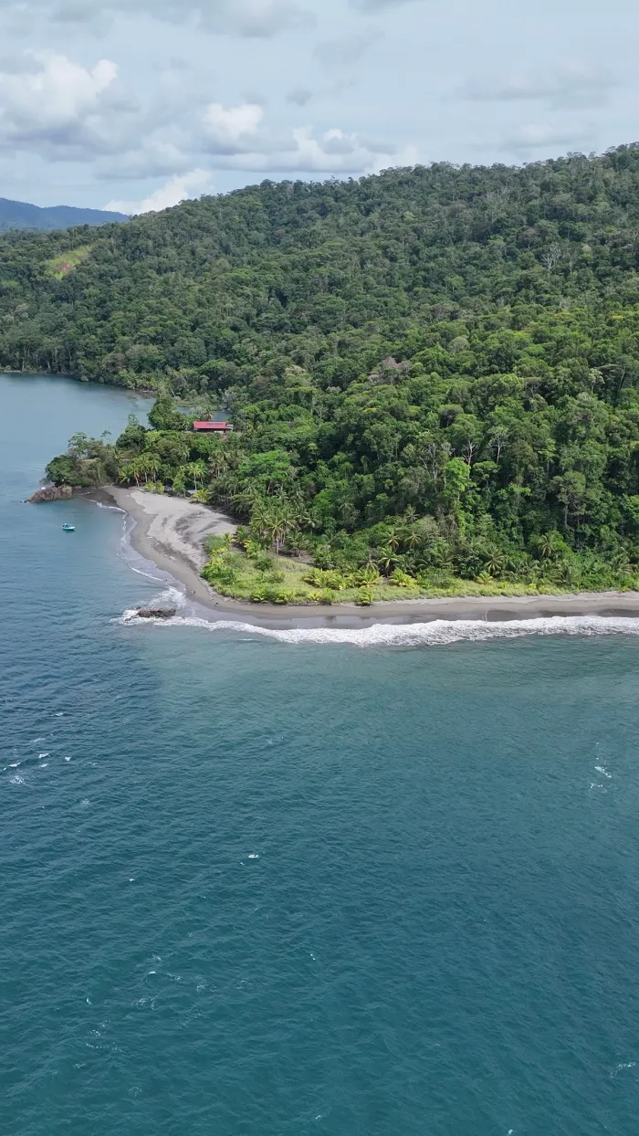 Mangrove & Beach Safari — real moment 5